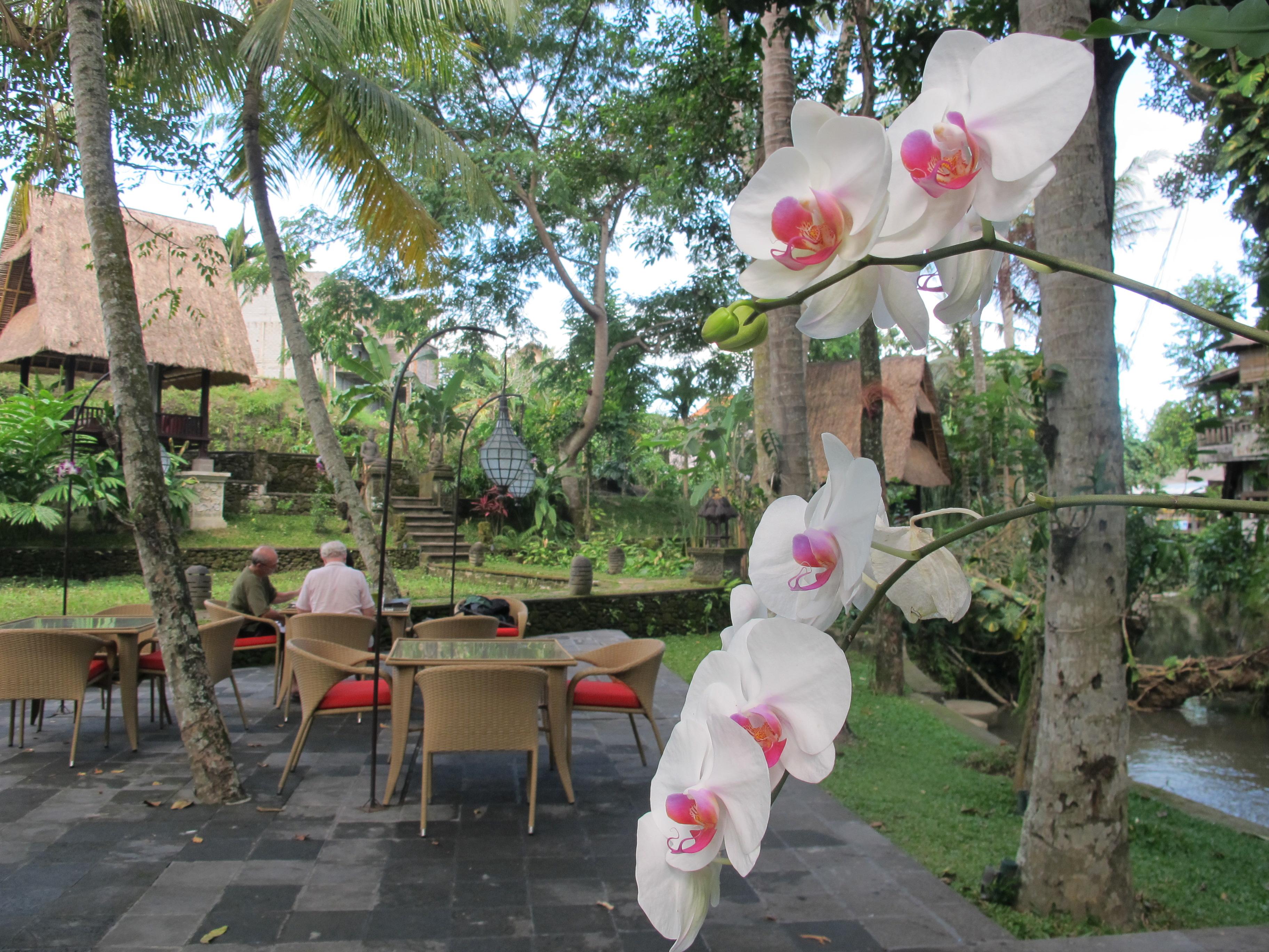 Arma Museum & Resort, Chse Certified Ubud  Exterior photo